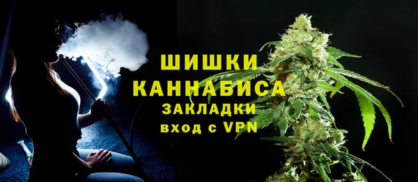 гидра Елизово