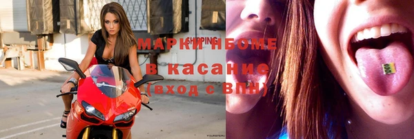 гидра Елизово