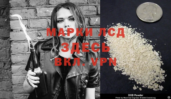 гидра Елизово