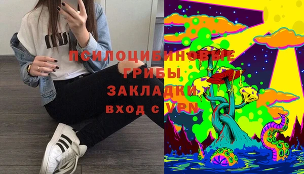 гидра Елизово