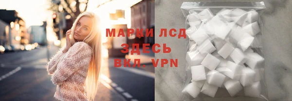 стафф Дмитровск