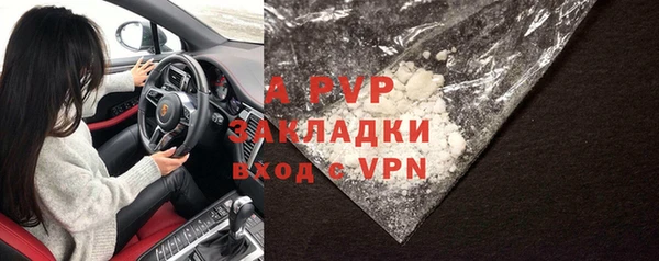 гидра Елизово