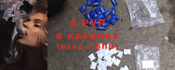 гидра Елизово