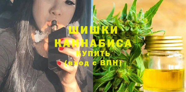 ешки Дмитриев