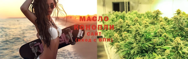 гидра Елизово