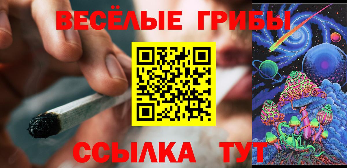 Слободской  Галлюциногенные грибы Psilocybine cubensis  Вход с VPN 