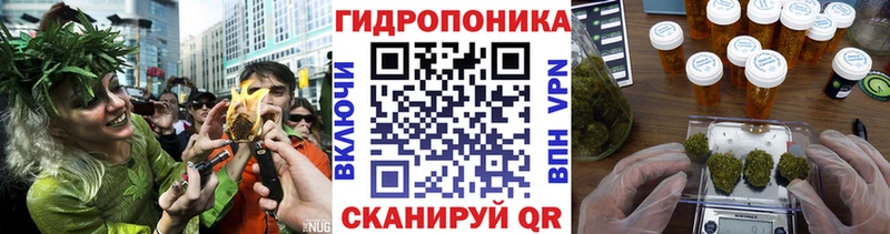 сколько стоит  Слободской  блэк спрут   Канабис план 